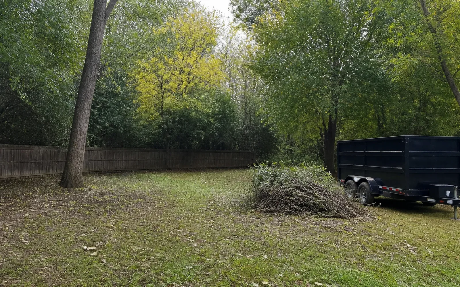 Clean central Ohio backyard after brush and debris removal