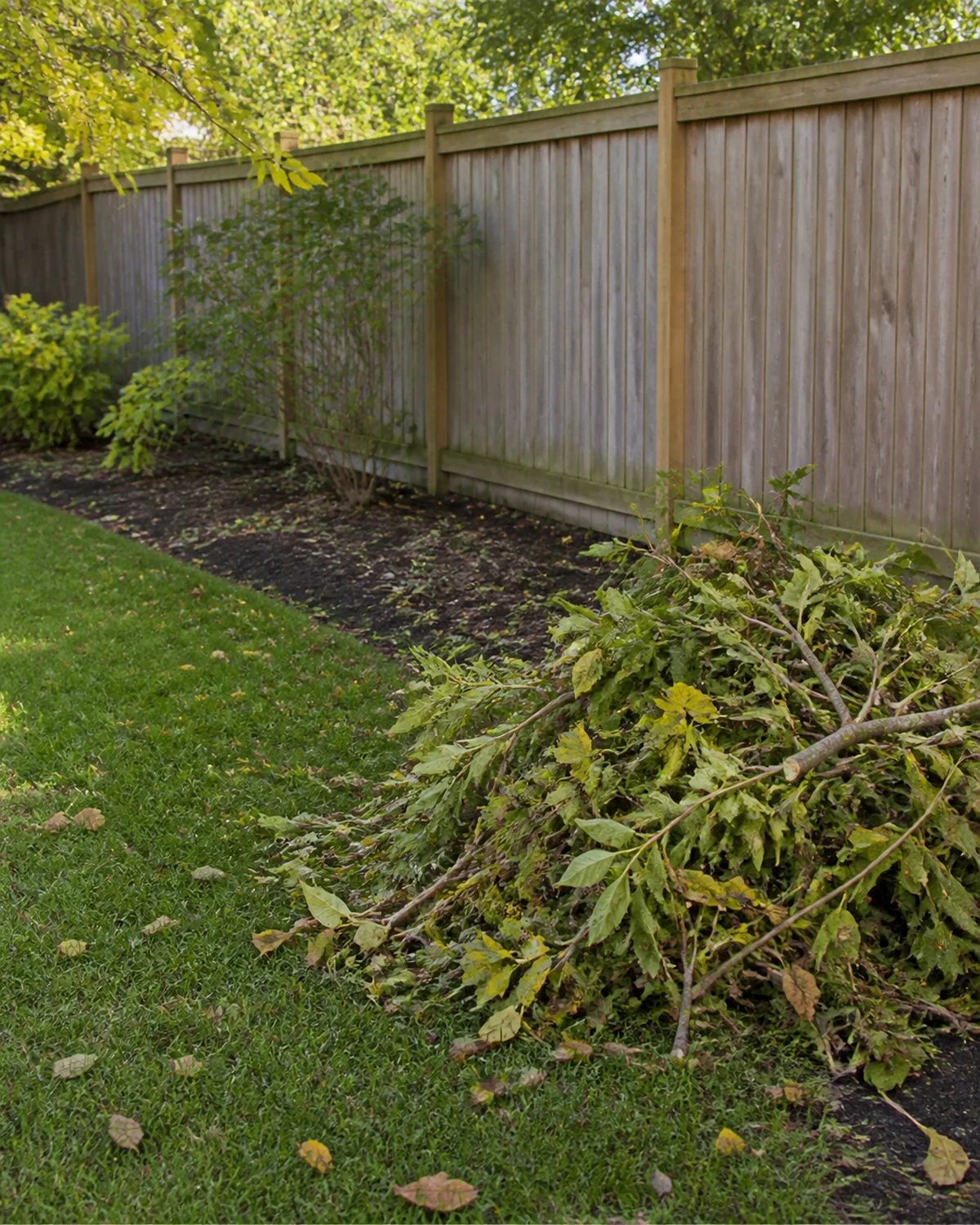 Cut branches and yard debris gathered neatly for removal